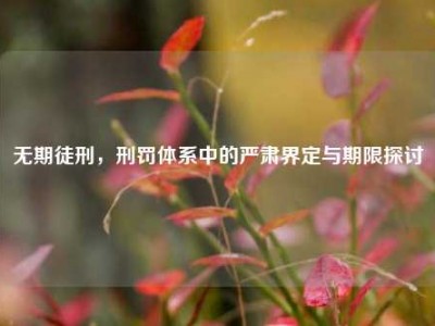无期徒刑，刑罚体系中的严肃界定与期限探讨