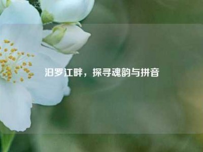 汨罗江畔，探寻魂韵与拼音