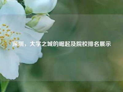 深圳，大学之城的崛起及院校排名展示