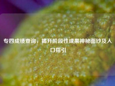 专四成绩查询，揭开阶段性成果神秘面纱及入口指引