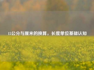 15公分与厘米的换算，长度单位基础认知