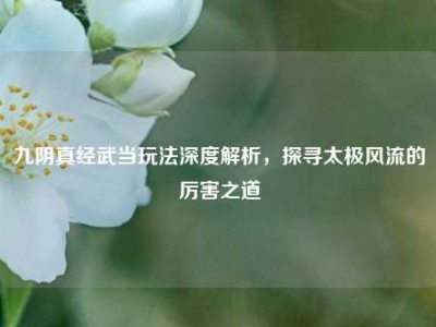 九阴真经武当玩法深度解析，探寻太极风流的厉害之道