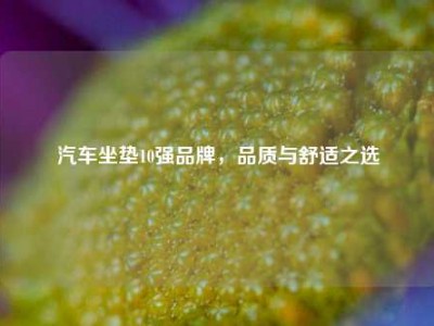 汽车坐垫10强品牌，品质与舒适之选