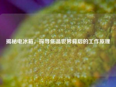 揭秘电冰箱，探寻低温世界背后的工作原理