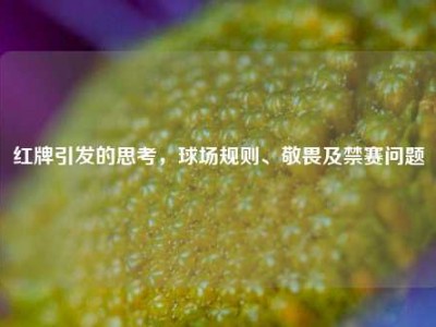 红牌引发的思考，球场规则、敬畏及禁赛问题