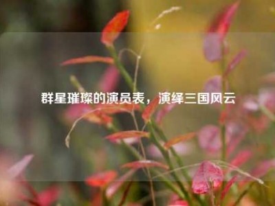 群星璀璨的演员表，演绎三国风云