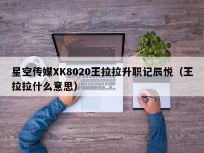 星空传媒XK8020王拉拉升职记辰悦（王拉拉什么意思）