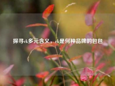 探寻ck多元含义，ck是何种品牌的包包
