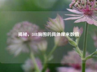 揭秘，34B胸围的具体厘米数值