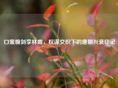 口蜜腹剑李林甫，权谋交织下的唐朝兴衰印记