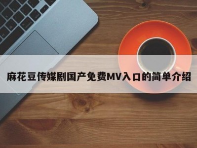 麻花豆传媒剧国产免费MV入口的简单介绍