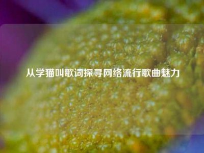 从学猫叫歌词探寻网络流行歌曲魅力