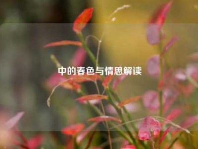 中的春色与情思解读