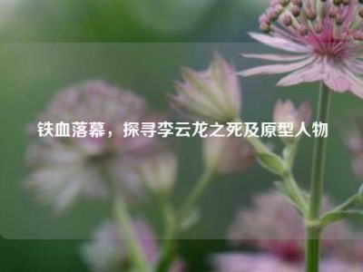 铁血落幕，探寻李云龙之死及原型人物