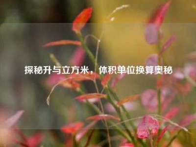 探秘升与立方米，体积单位换算奥秘