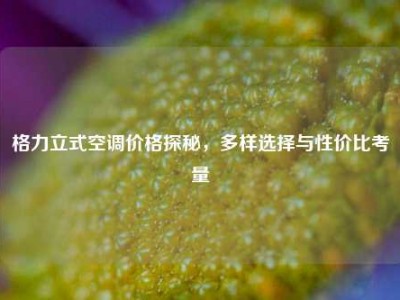 格力立式空调价格探秘，多样选择与性价比考量