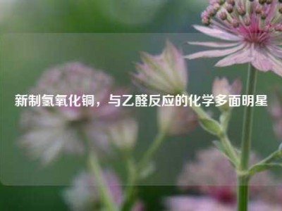 新制氢氧化铜，与乙醛反应的化学多面明星