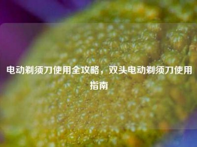 电动剃须刀使用全攻略，双头电动剃须刀使用指南
