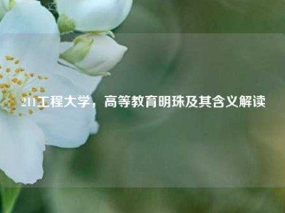 211工程大学，高等教育明珠及其含义解读
