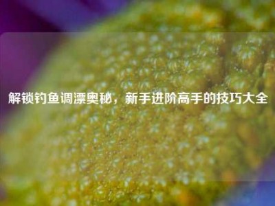 解锁钓鱼调漂奥秘，新手进阶高手的技巧大全