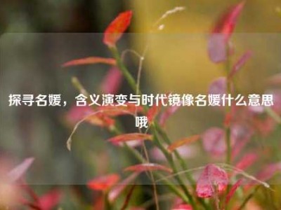 探寻名媛，含义演变与时代镜像名媛什么意思哦