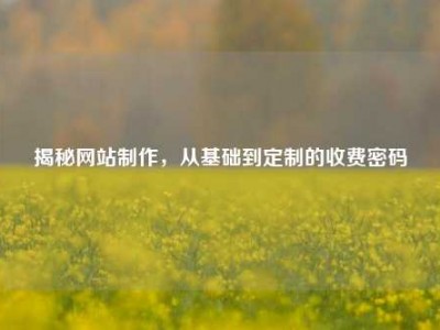 揭秘网站制作，从基础到定制的收费密码