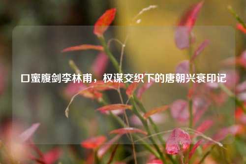 口蜜腹剑李林甫,权谋交织下的唐朝兴衰印记
