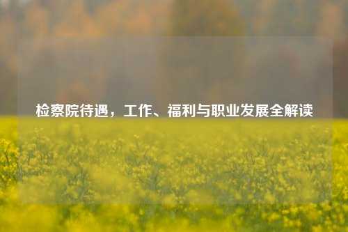 检察院待遇，工作、福利与职业发展全解读