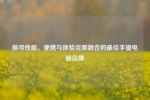 探寻性能、便携与体验完美融合的最佳手提电脑品牌