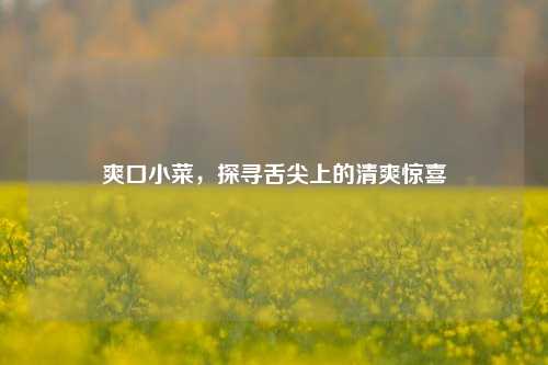 爽口小菜,探寻舌尖上的清爽惊喜