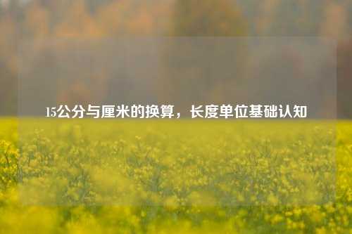 15公分与厘米的换算，长度单位基础认知