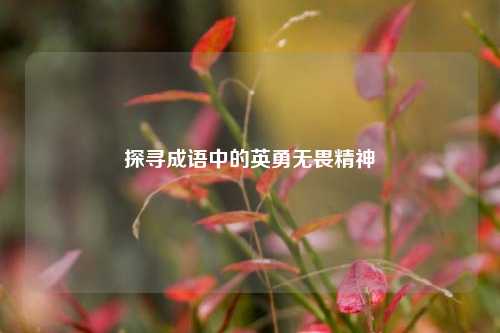 探寻成语中的英勇无畏精神