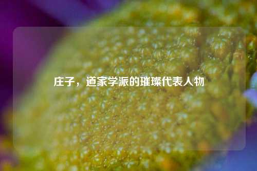 庄子，道家学派的璀璨代表人物