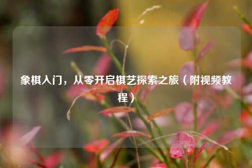象棋入门，从零开启棋艺探索之旅（附视频教程）