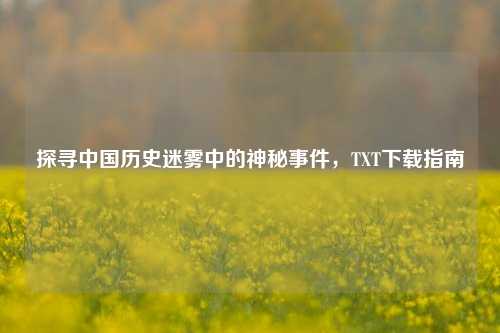探寻中国历史迷雾中的神秘事件，TXT下载指南