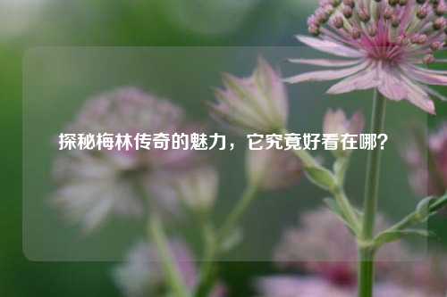 探秘梅林传奇的魅力，它究竟好看在哪？