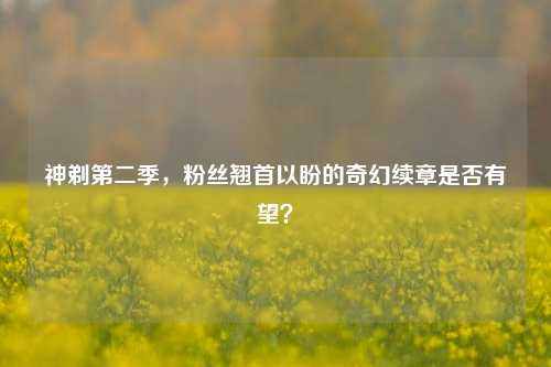 神剃第二季,粉丝翘首以盼的奇幻续章是否有望?