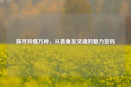 探寻风情万种，从表象至灵魂的魅力密码