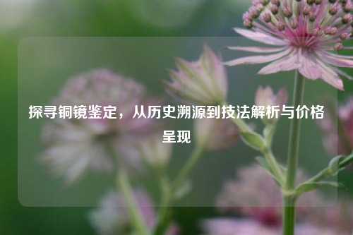 探寻铜镜鉴定，从历史溯源到技法解析与价格呈现