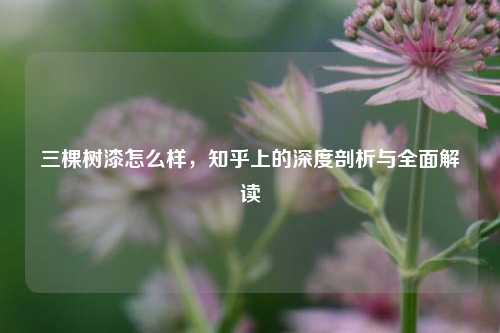 三棵树漆怎么样，知乎上的深度剖析与全面解读