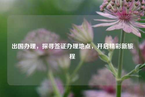 出国办理,探寻签证办理地点,开启精彩新旅程