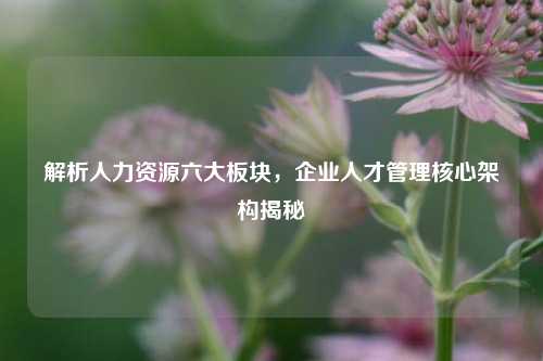 解析人力资源六大板块，企业人才管理核心架构揭秘