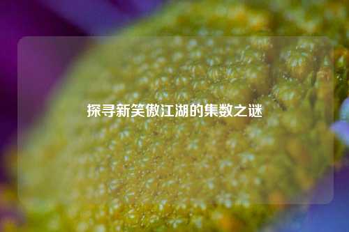 探寻新笑傲江湖的集数之谜