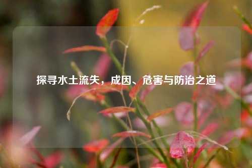 探寻水土流失，成因、危害与防治之道