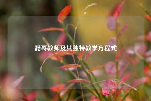 酷哥教师及其独特教学方程式