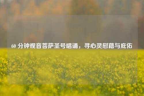 60 分钟观音菩萨圣号唱诵，寻心灵慰藉与庇佑