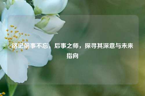 铭记前事不忘，后事之师，探寻其深意与未来指向