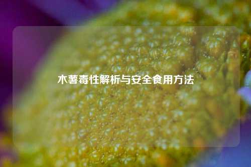 木薯毒性解析与安全食用方法