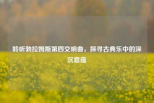 聆听勃拉姆斯第四交响曲,探寻古典乐中的深沉意蕴