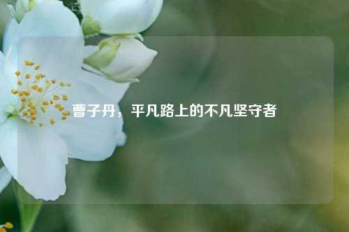 曹子丹,平凡路上的不凡坚守者